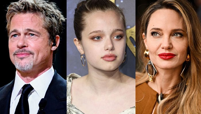 Brad Pitt blames Angelina Jolie for Shiloh decision