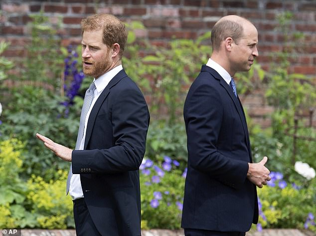 Prince Harry Frustrated as Prince William Ignores His Calls
