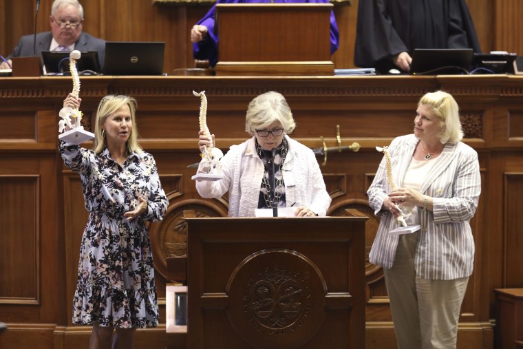 Three Female GOP Senators in SC Who Opposed Abortion Ban Lose Primaries