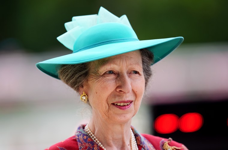 British Princess Anne released from hospital following head injury
