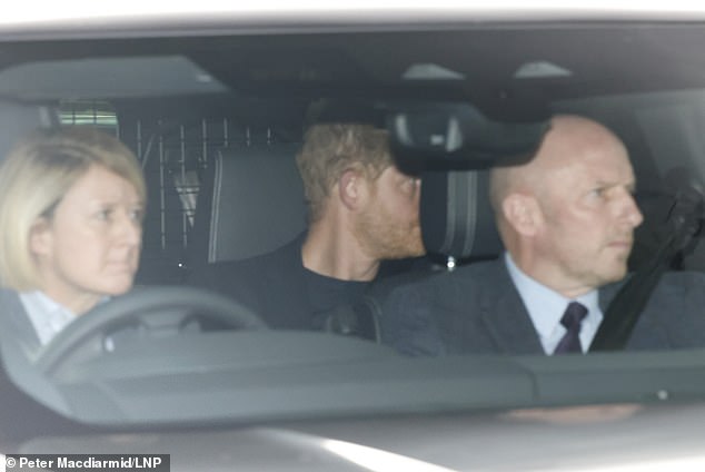 Prince Harry Shocked After Being Put in His Place in Security Row